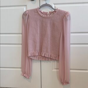 Aritzia Pink Textured Blouse with Chiffon Sleeves